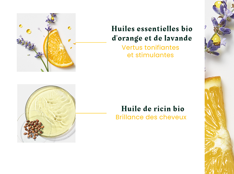 Ingrédients complexe 5 René Furterer