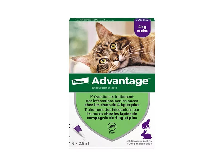 Advantage 80 Chat et Lapin de plus de 4 kg - 6 pipettes de 0,8 ml