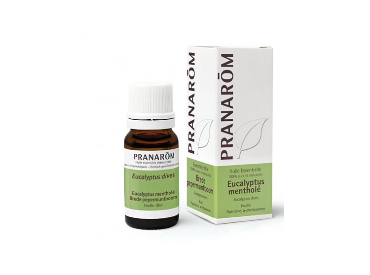 Pranarôm Huile essentielle d'Eucalyptus mentholé - 10ml