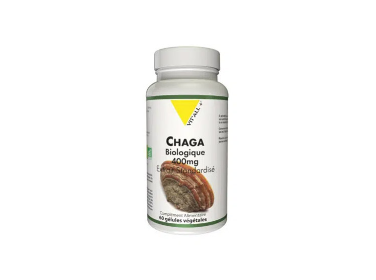 Chaga Champignon de l'Immortalité - 60 gélules