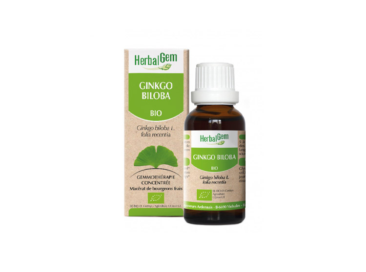 Herbalgem Macérat-Mère Concentré Ginkgo Biloba BIO - 30ml