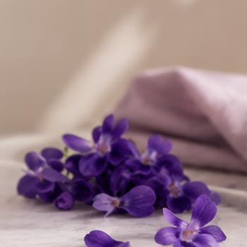 Arome Botot Violette
