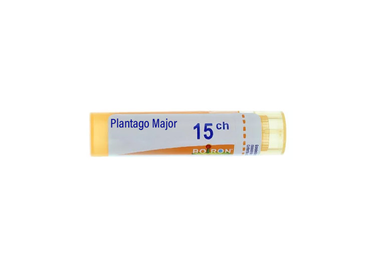 Boiron Plantago Major 15CH Tube - 4 g