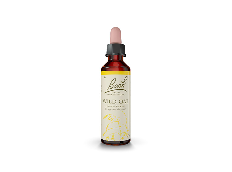 Fleur de bach n°36 Wild Oat - 20ml