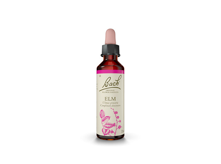 Fleur de Bach n°11 Elm - 20ml