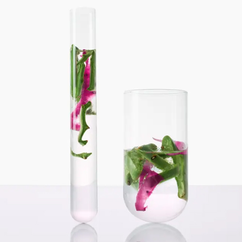 Klorane Shampooing Figue de barbarie