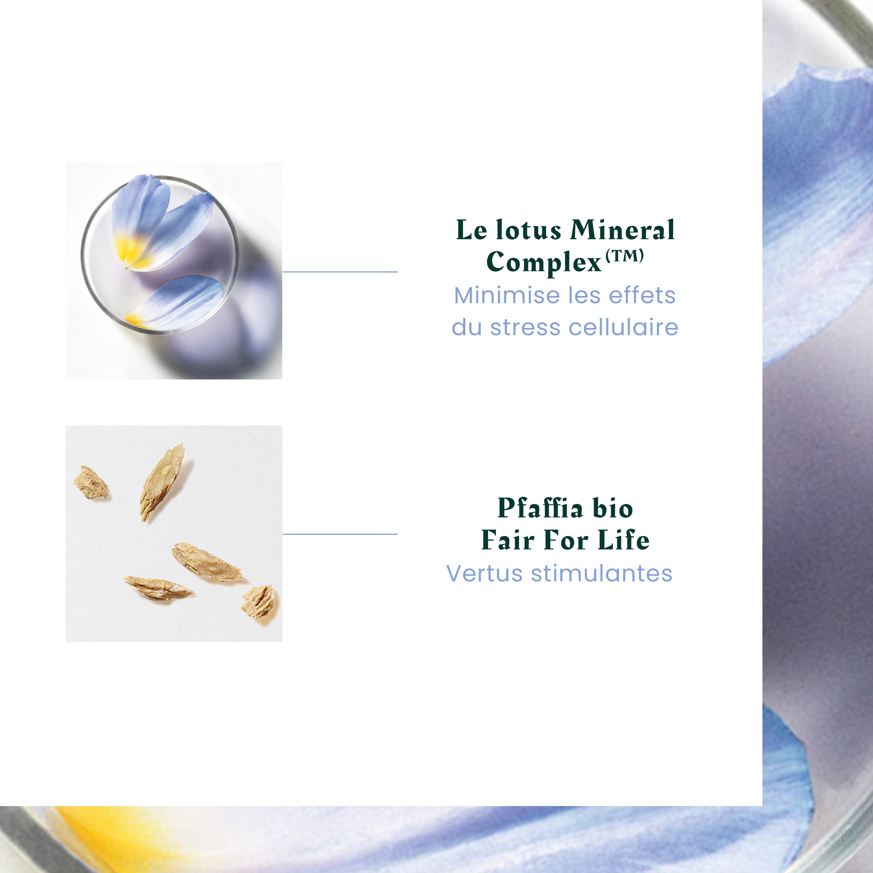 Ingrédient traitement anti-chute