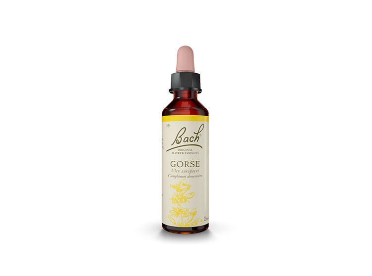 Fleur de Bach n°13 Gorse - 20ml