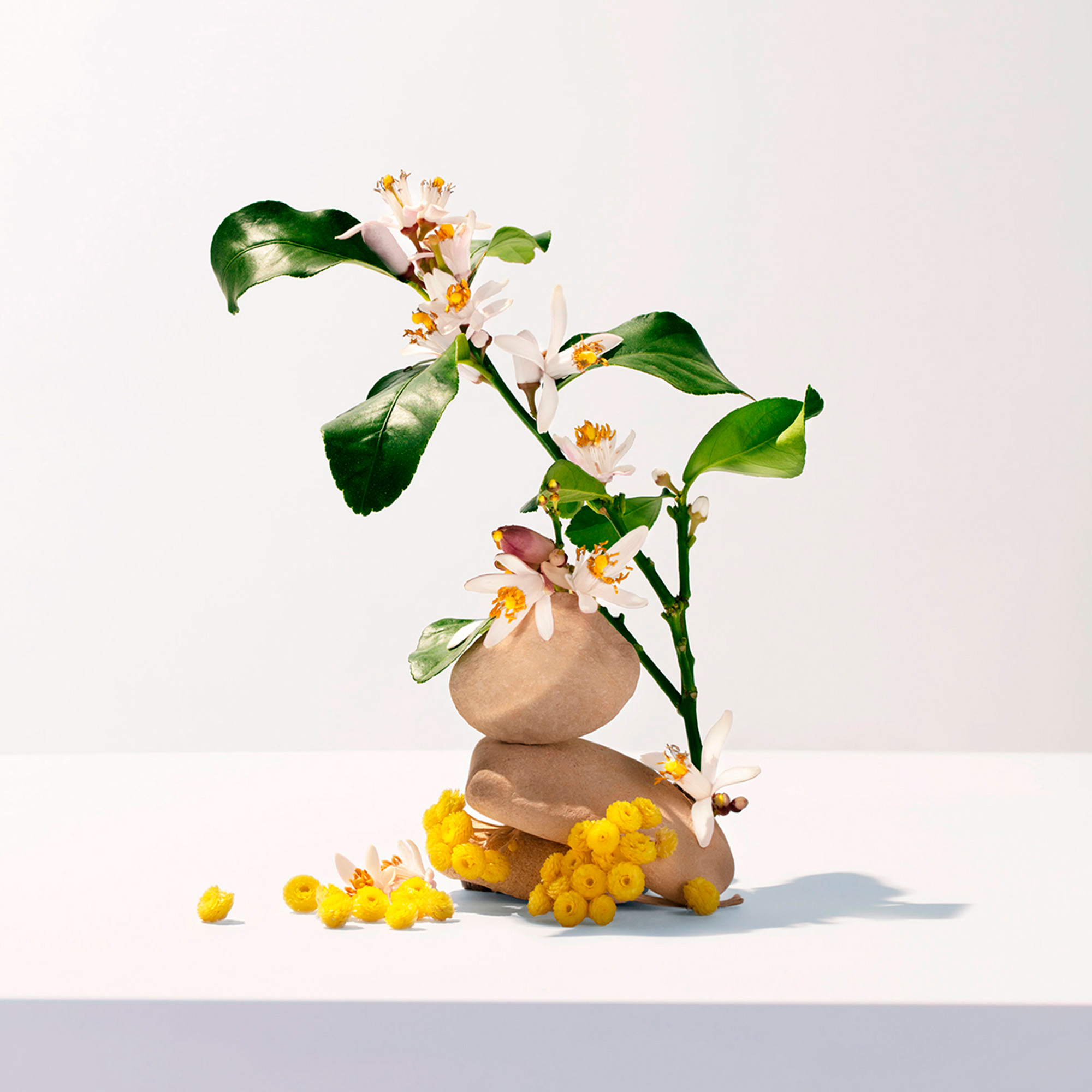 Ingrédients Néroli