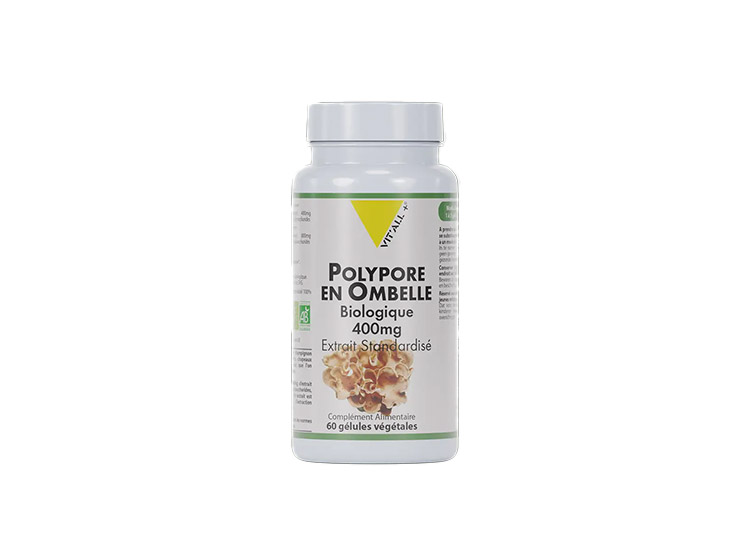 Polypore 400mg - 60 gélules