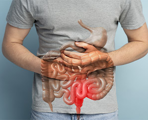 illustration transit 