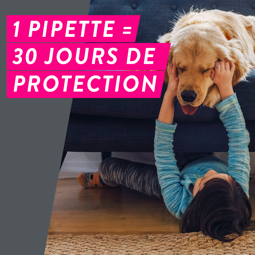 1 pipette tri-act = 30 jours de protection