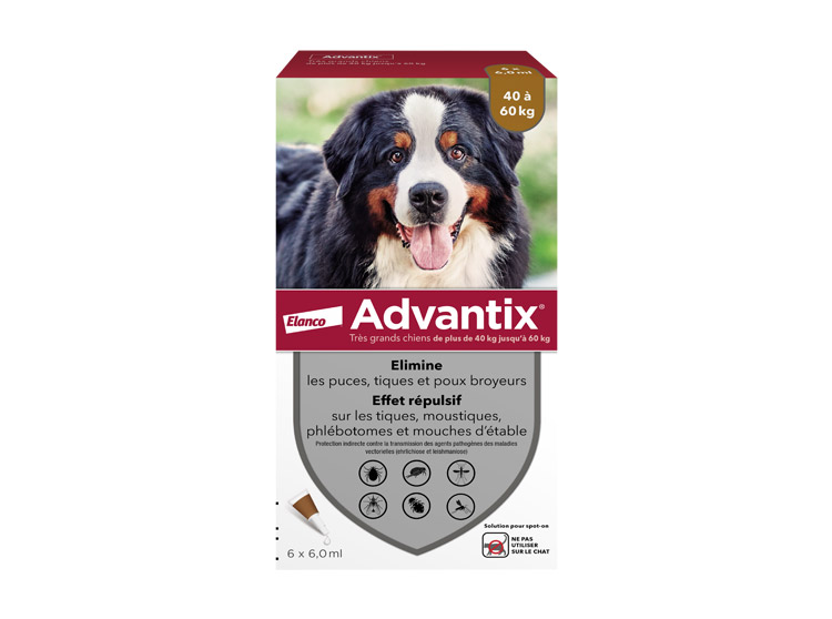 Advantix Très grand chien - 6 pipettes de 6,0 ml