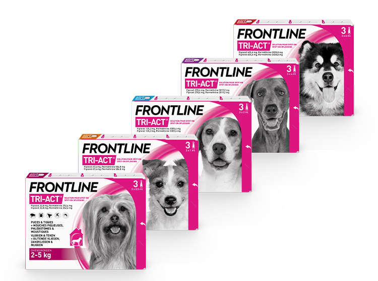 Gamme Frontline Tri-act pour chien