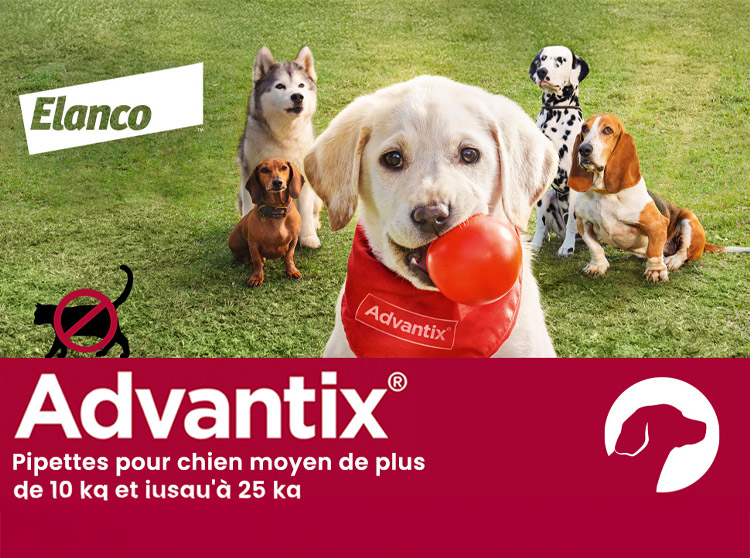 Advantix Elanco