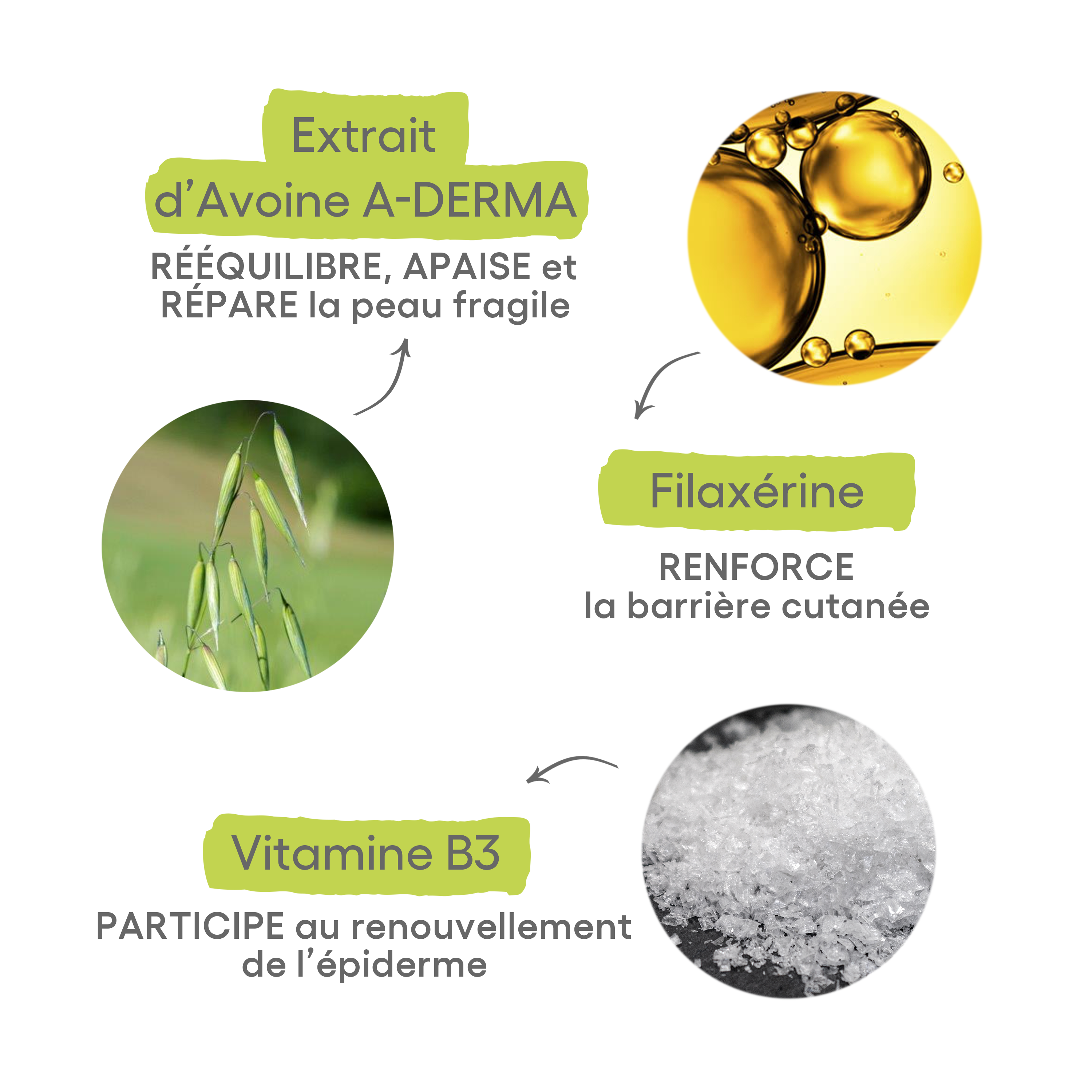 Pricipal actif : Avoine Rhealba® :