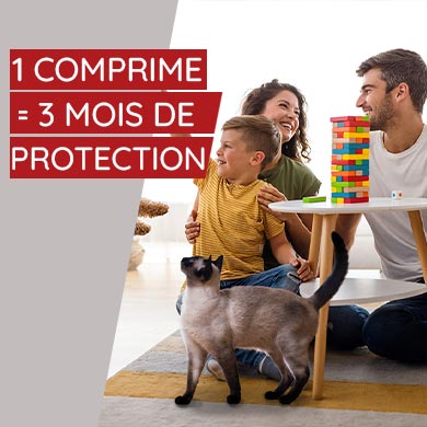 Vermifuge FrontControl Wormer 