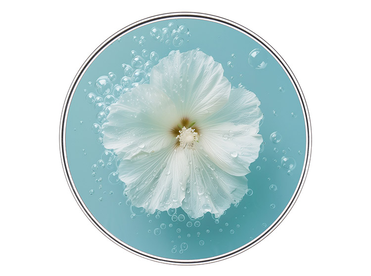 Extrait de Mauve Blanche