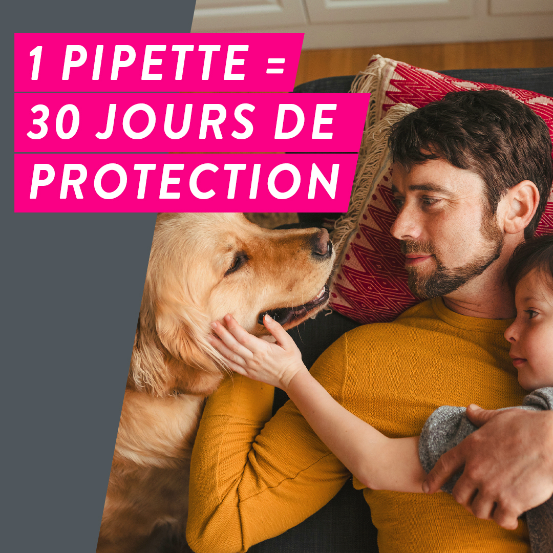 1 pipette Tri-Act = 30 jours de protection