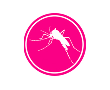 Contre les moustiques