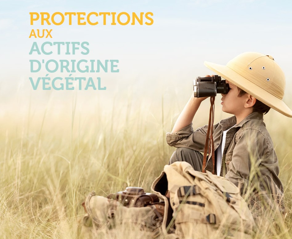 Actifs d'origine végétal