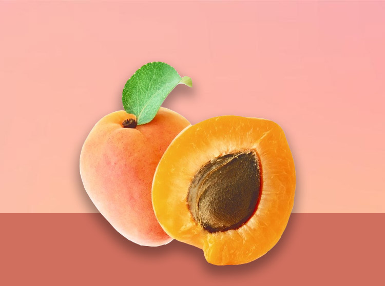 Micro-grains de noyau d'abricot