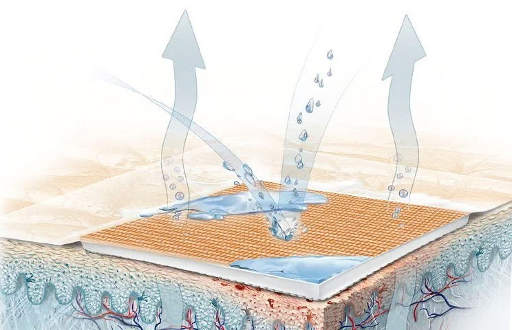 Schema pansement waterproof